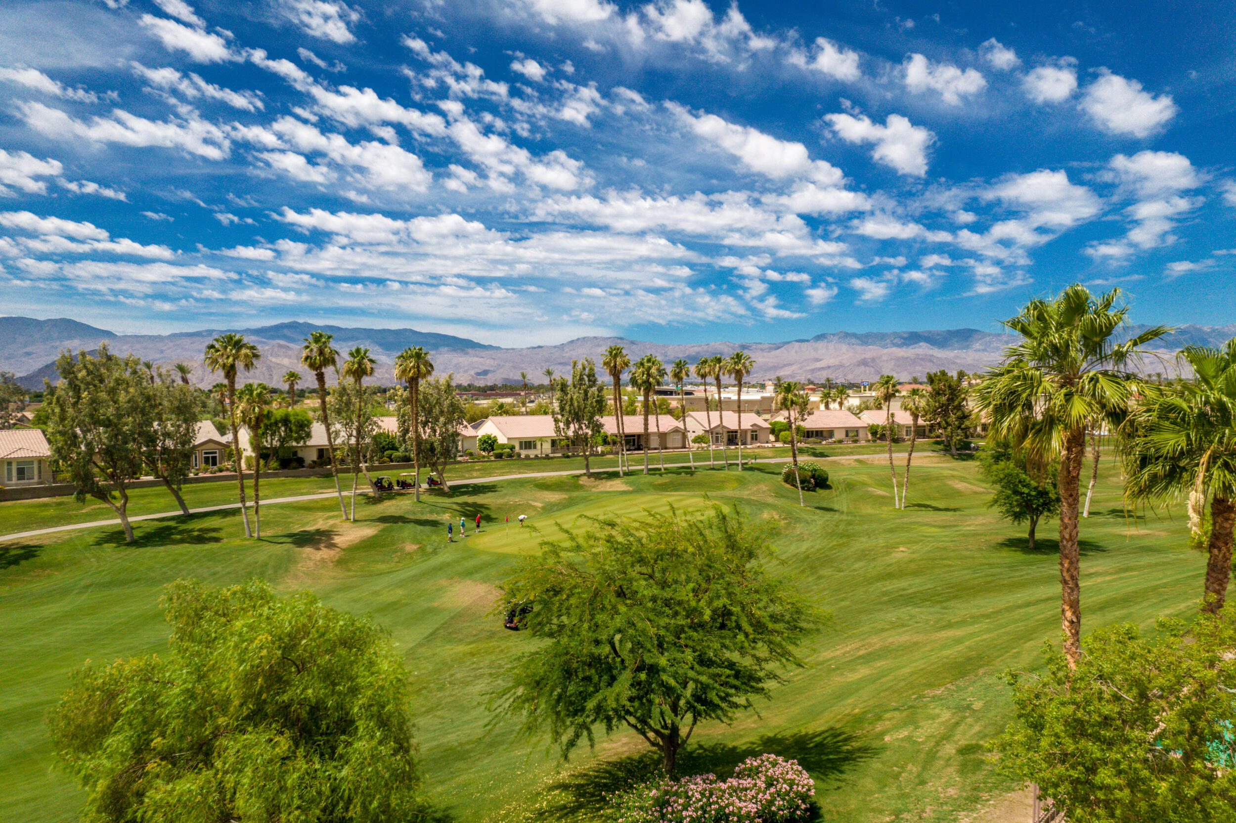 Image Number 1 for 78403 Golden Reed Drive in Palm Desert