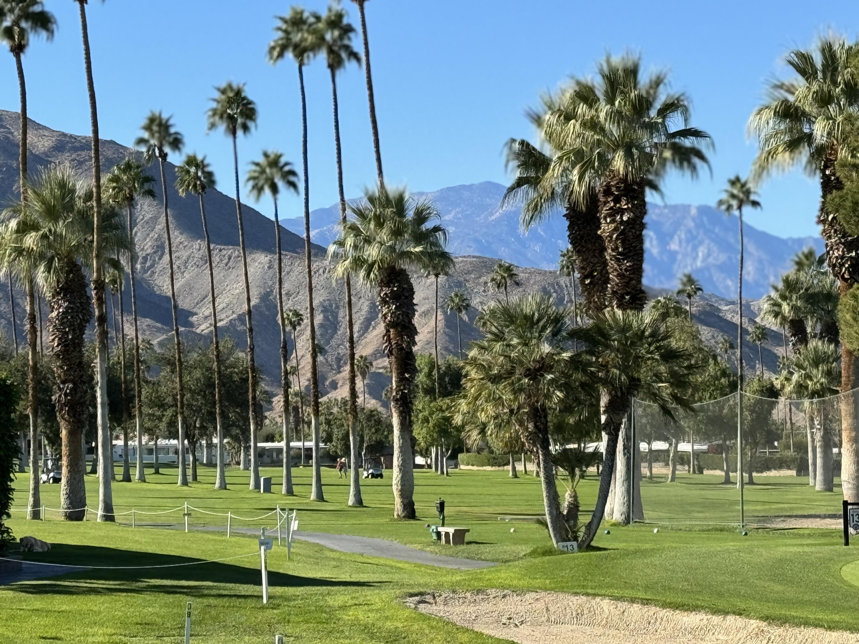 Image Number 1 for 73700 Grapevine ST #1 in Palm Desert