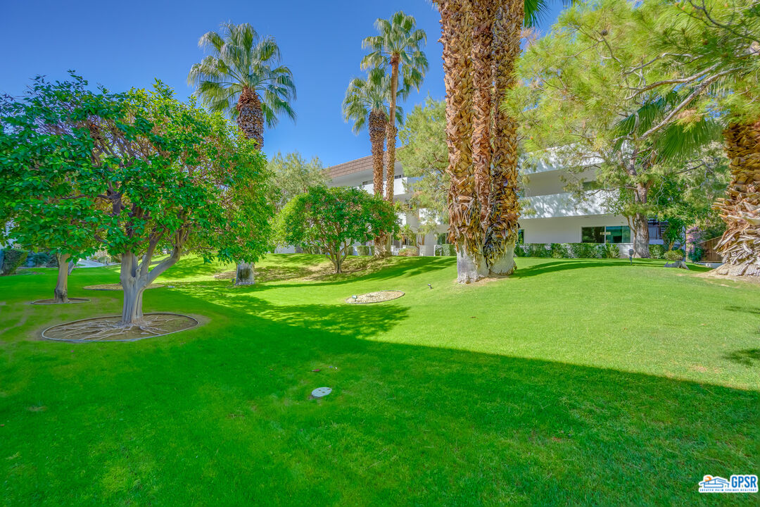 Image 34 for 2300 PALM CANYON DR #31