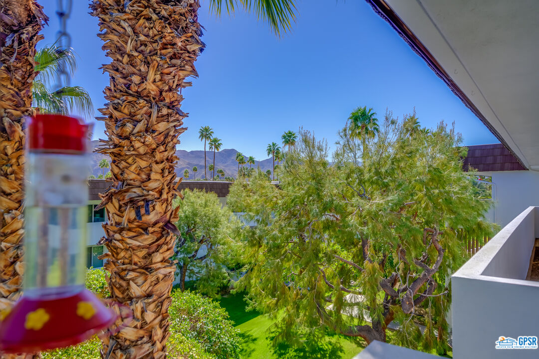 Image 12 for 2300 PALM CANYON DR #31