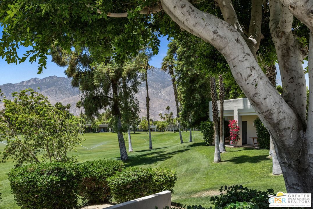 Image 28 for 67429 N Chimayo Dr
