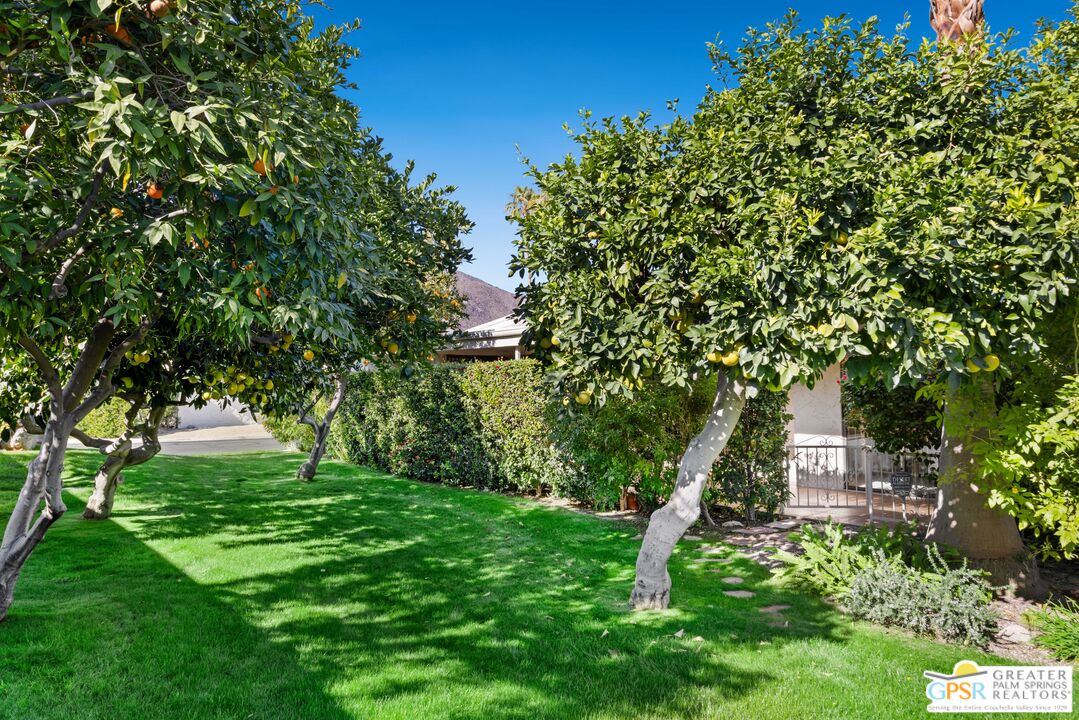Image 20 for 1609  E Twin Palms Dr