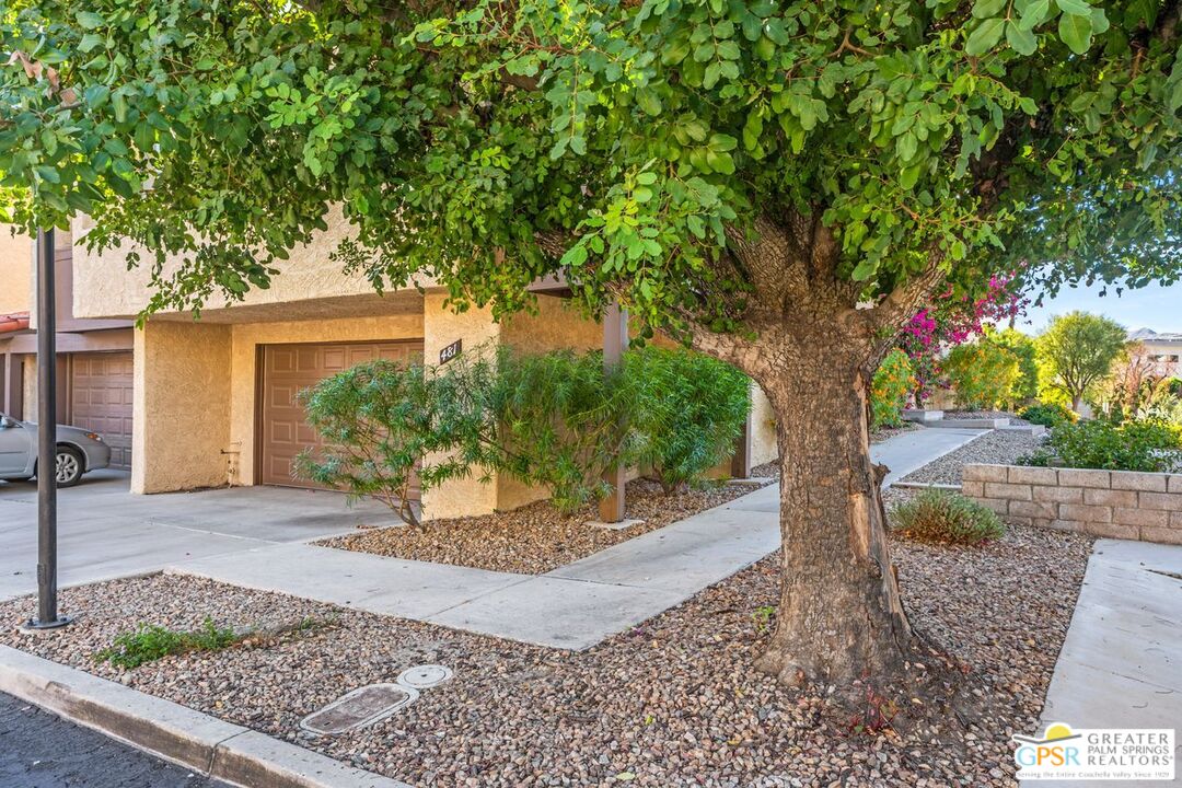 Image 6 for 481  E Calle Begonia