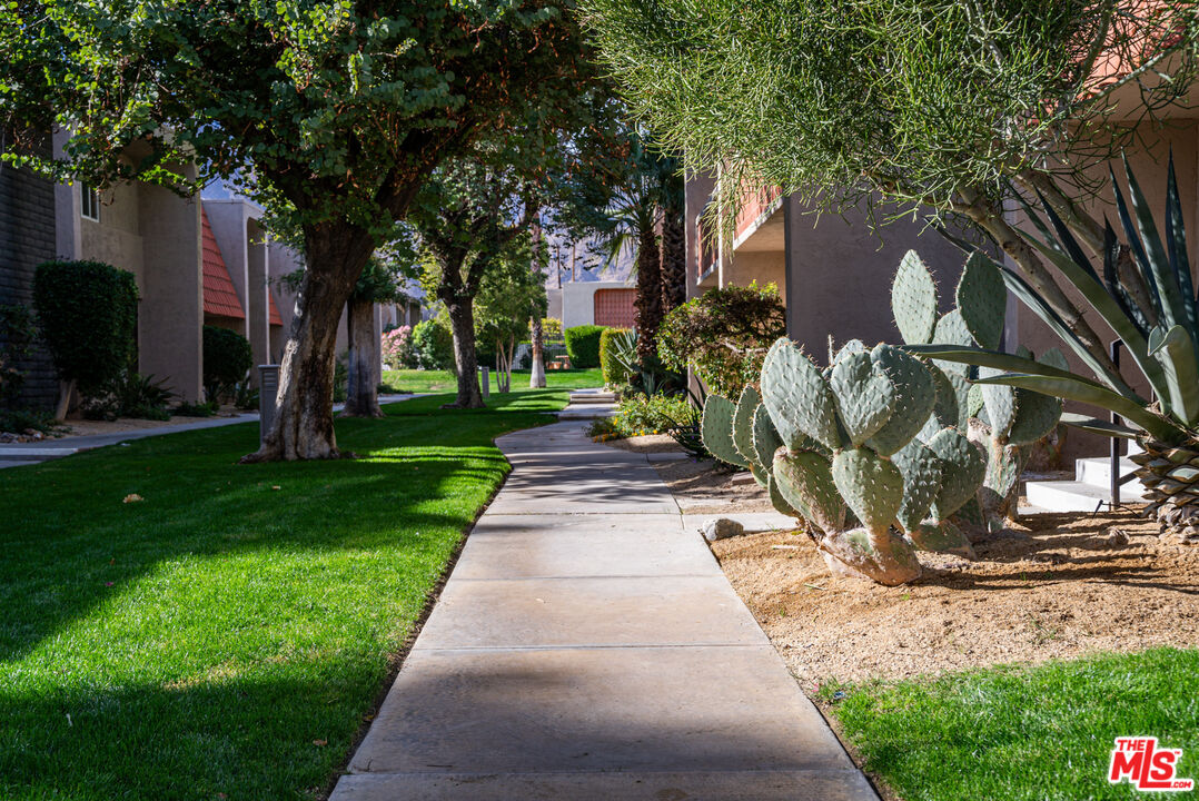 Image 31 for 2246 Indian Canyon Dr #D