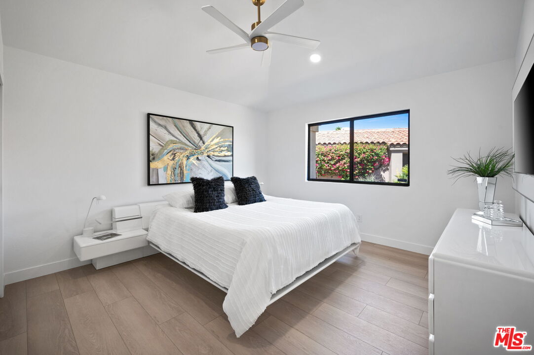 Image 18 for 38306   Gazania Cir