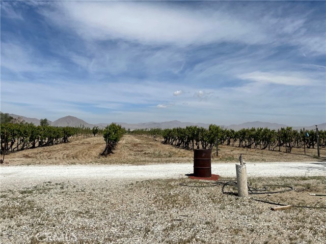 MOTIVATED SELLER-MOTIVATED SELLER-MOTIVATED SELLER-MOTIVATED SELLER!! NEED TO SELL!!! Fully operational 19.5 acre Farm in Lucerne Valley with 2 Homes on the property: Main House: 2 Bedroom 2 Bath,  approx. 1300 sq ft. Second house: 2 bedroom 1 Bath approx. 1000sq ft, 1 fruit stand/Store  building approx.. 40'x20' and a separate  large steel metal building (+/- 3200 sq ft)  with roll up door,  used to process, clean and package products!  Also includes a walk in fridge approx. 50x20 for storing fruit. Storage and packaging machines are all included in sale as well as a Water well that pumps 80 GPM. Also included is a  Ford Tractor and Delivery Truck. Has over one thousand fruit trees, various types such as  Apple Trees: Gala, Honeycrisp, Pink Lady, Fuji. Pear Trees: Asian Pears, Yellow, White, Kiefer.  Plum Trees: Burgundy and Santa Rosa. Nectarines, Jujubes, Almonds, Pomegranate, Grape Vineyard and much more! Horse Property, So many Opportunities, Great potential for revenue!