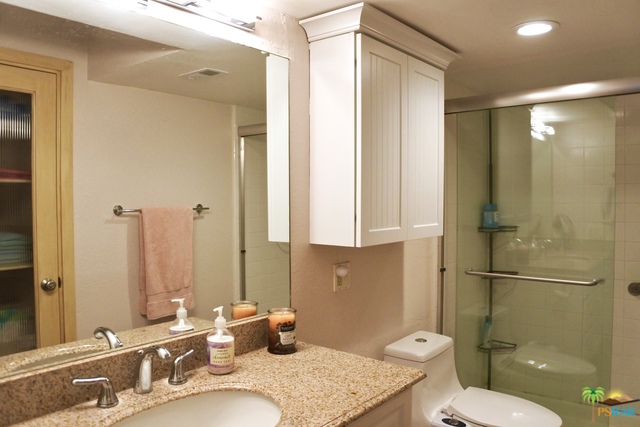 Image 5 for 1655 PALM CANYON DR #613