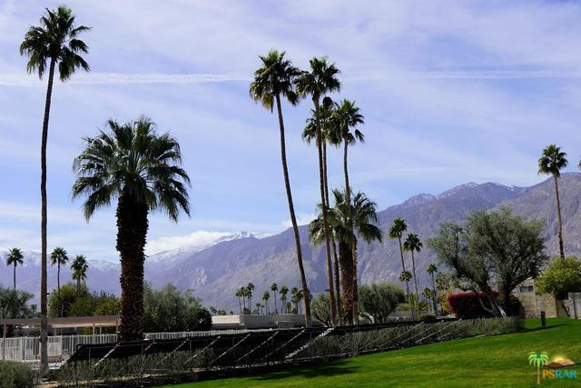 Image Number 1 for 841 N CERRITOS DR in PALM SPRINGS