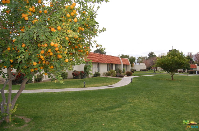 Image Number 1 for 35533 Graciosa Ct in Rancho Mirage