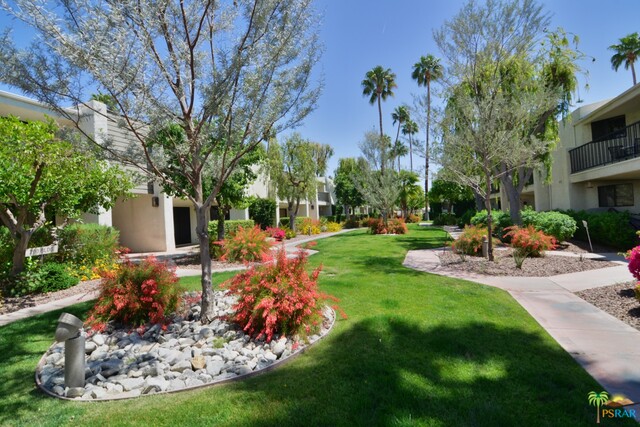 Image 17 for 3155 Ramon Rd #204
