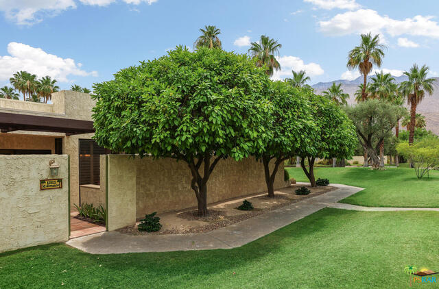 Image 2 for 1311 E Amado Rd
