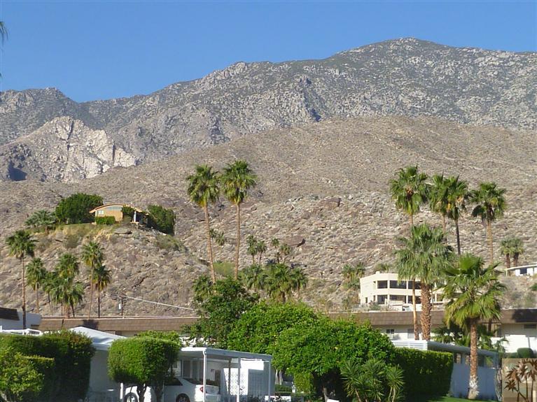 Image Number 1 for 310 San Jose RD #114 in Palm Springs