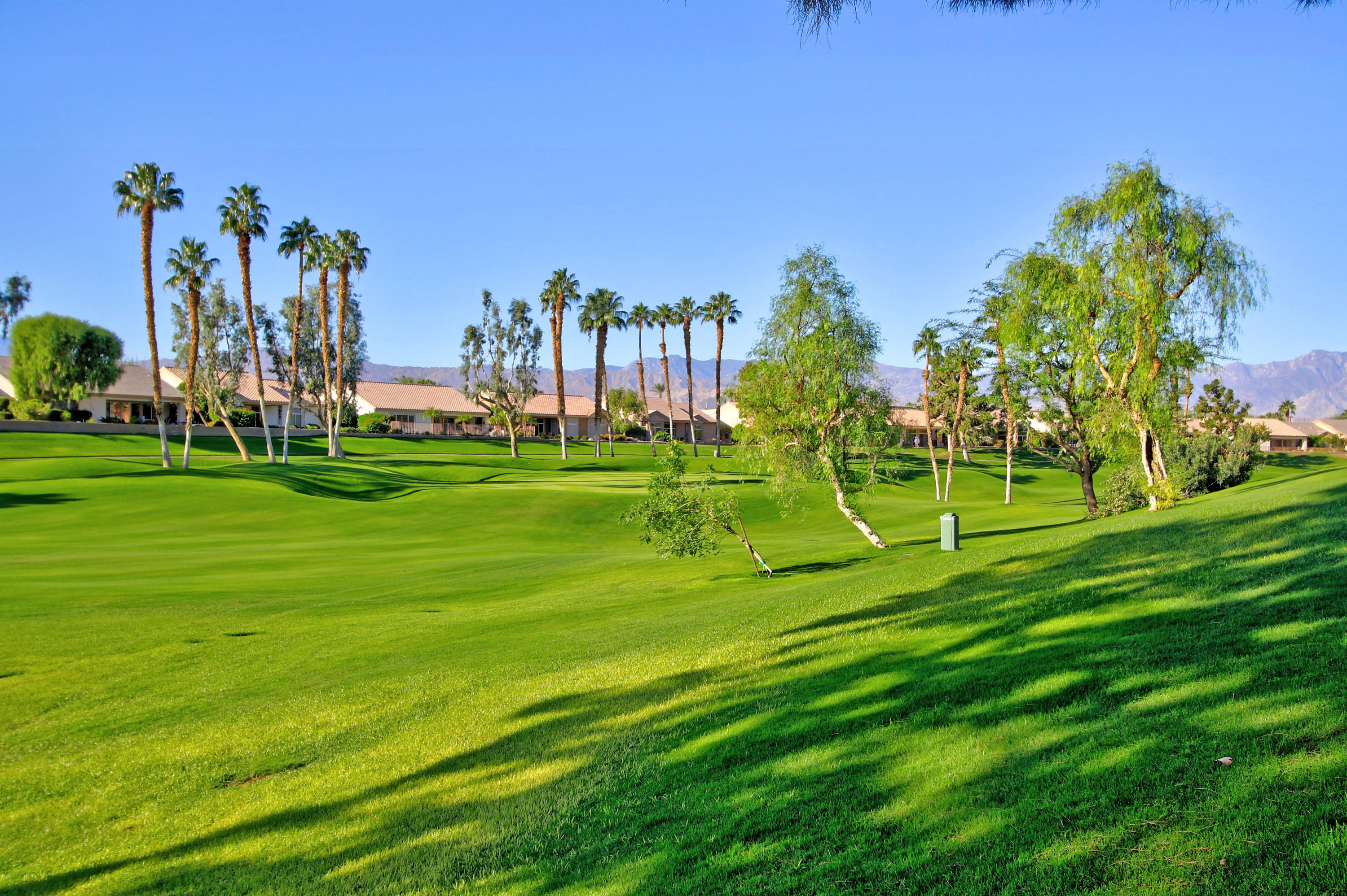 Image Number 1 for 78431 Golden Reed Drive in Palm Desert