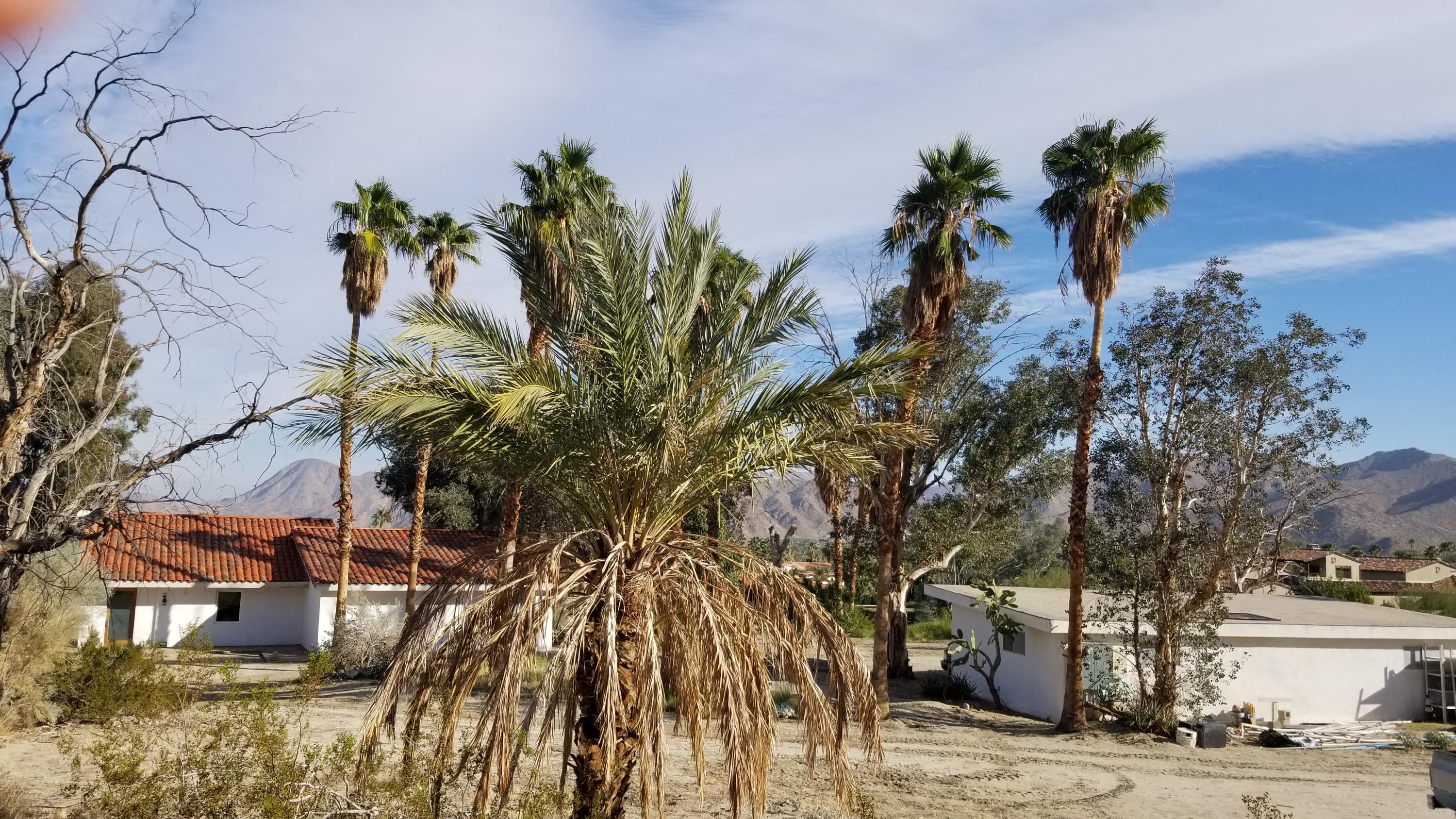 Image Number 1 for 71625 Cholla Way in Palm Desert