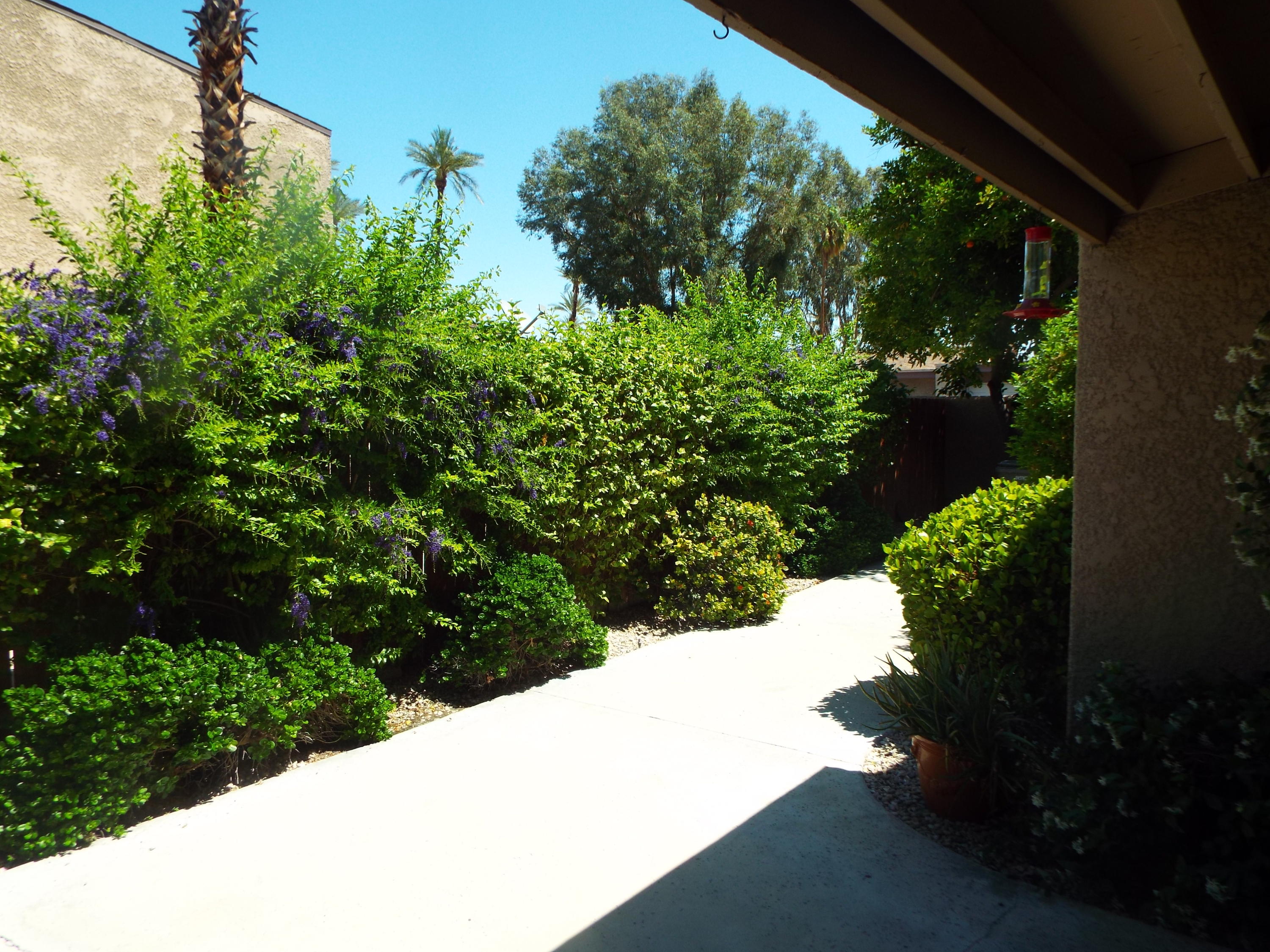Image Number 1 for 74078 Catalina Way in Palm Desert