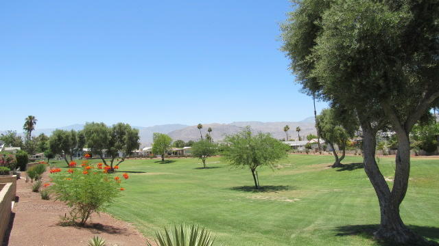 Image Number 1 for 38131 Pigeon Springs Drive in Palm Desert