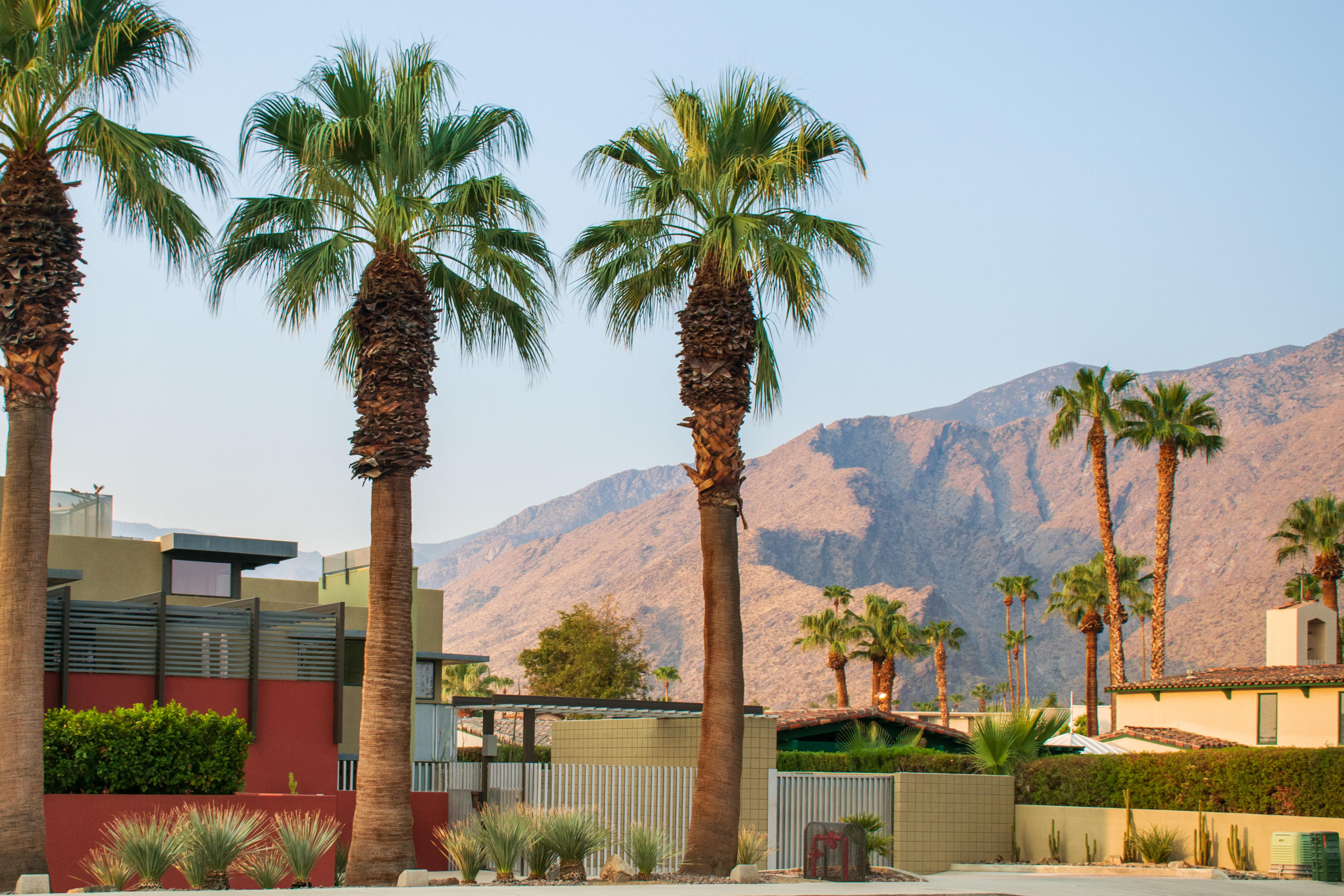 Image Number 1 for 649 E Arenas in Palm Springs