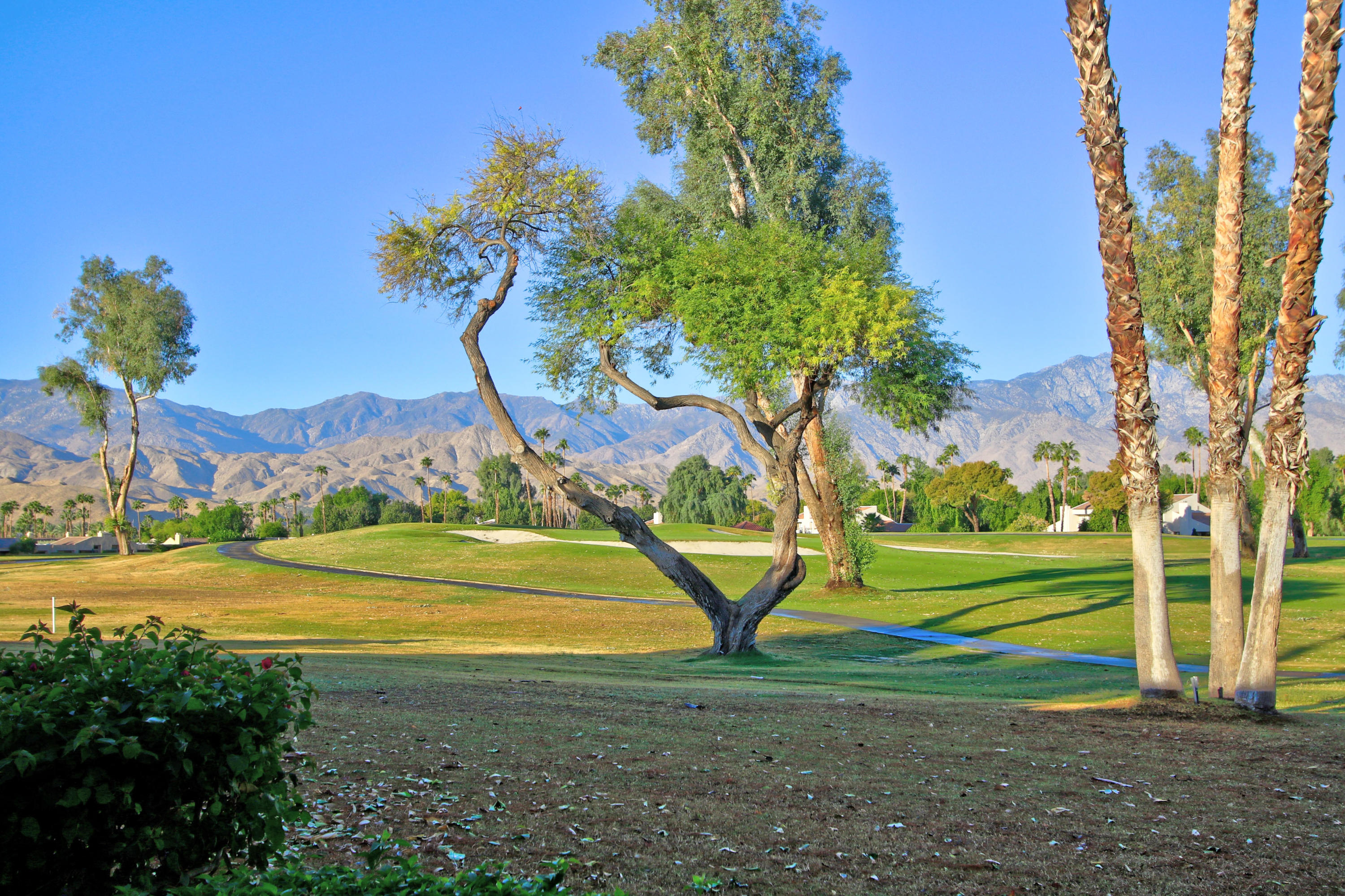 Image Number 1 for 743 Inverness Drive in Rancho Mirage