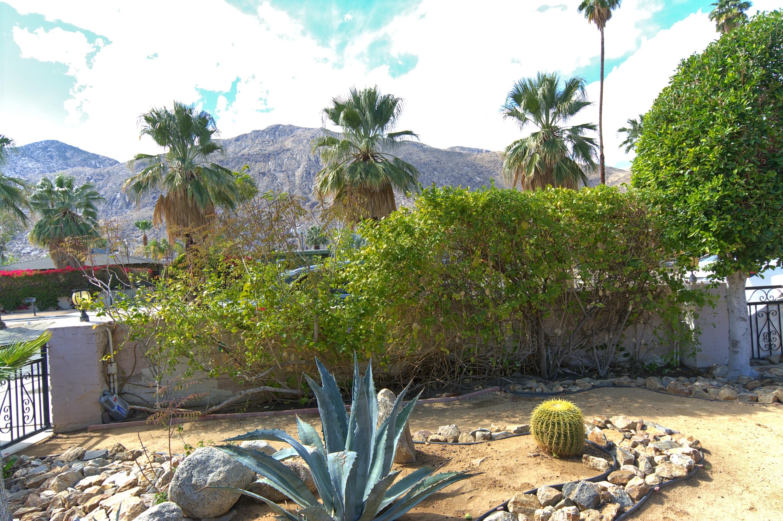 Image Number 1 for 666 S Indian Trail in Palm Springs