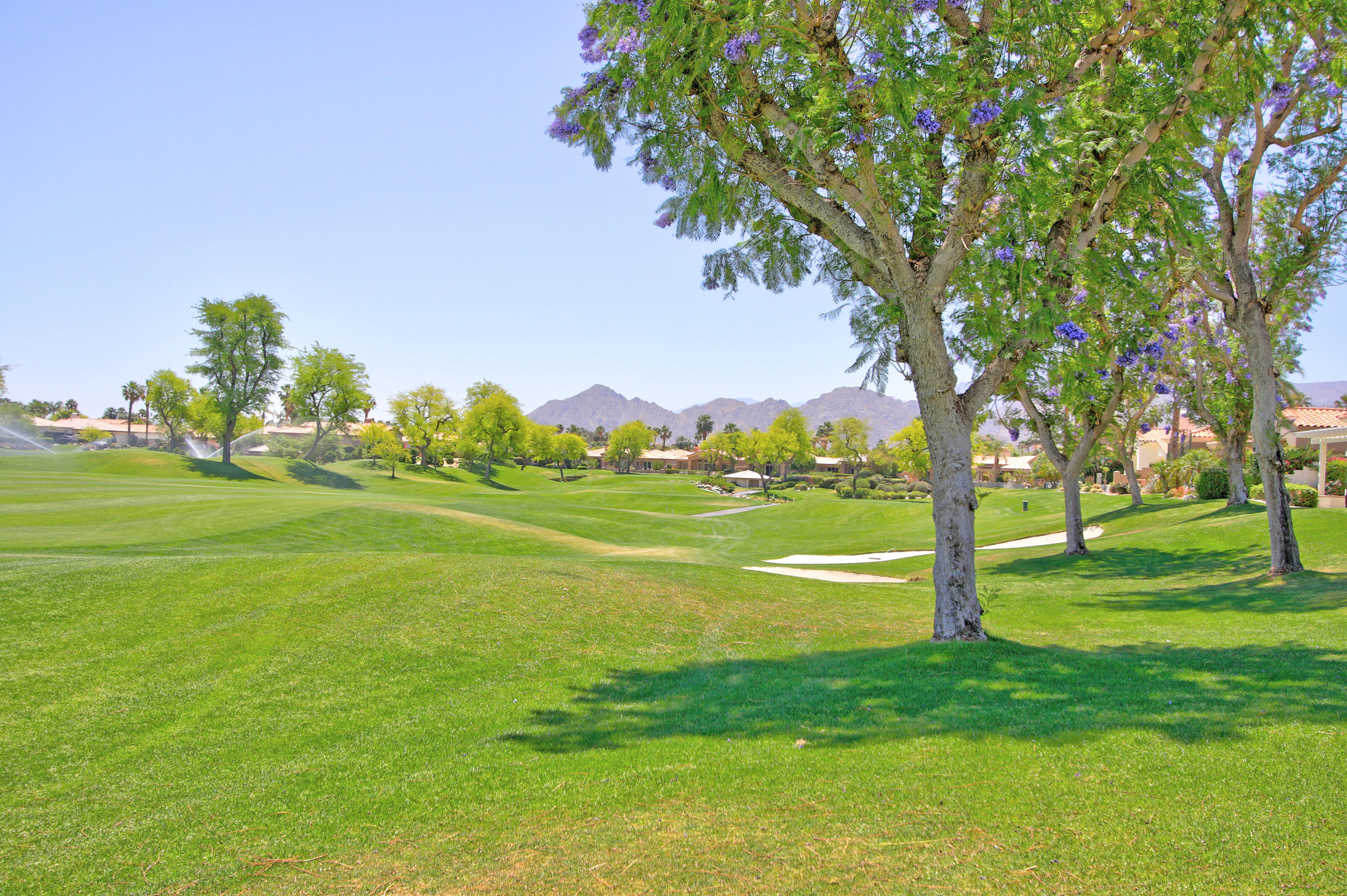 Image Number 1 for 356 Tomahawk Drive in Palm Desert