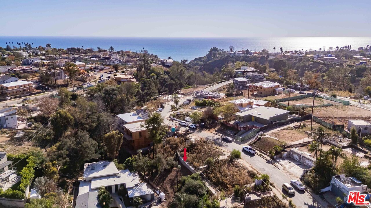 668 Palmera