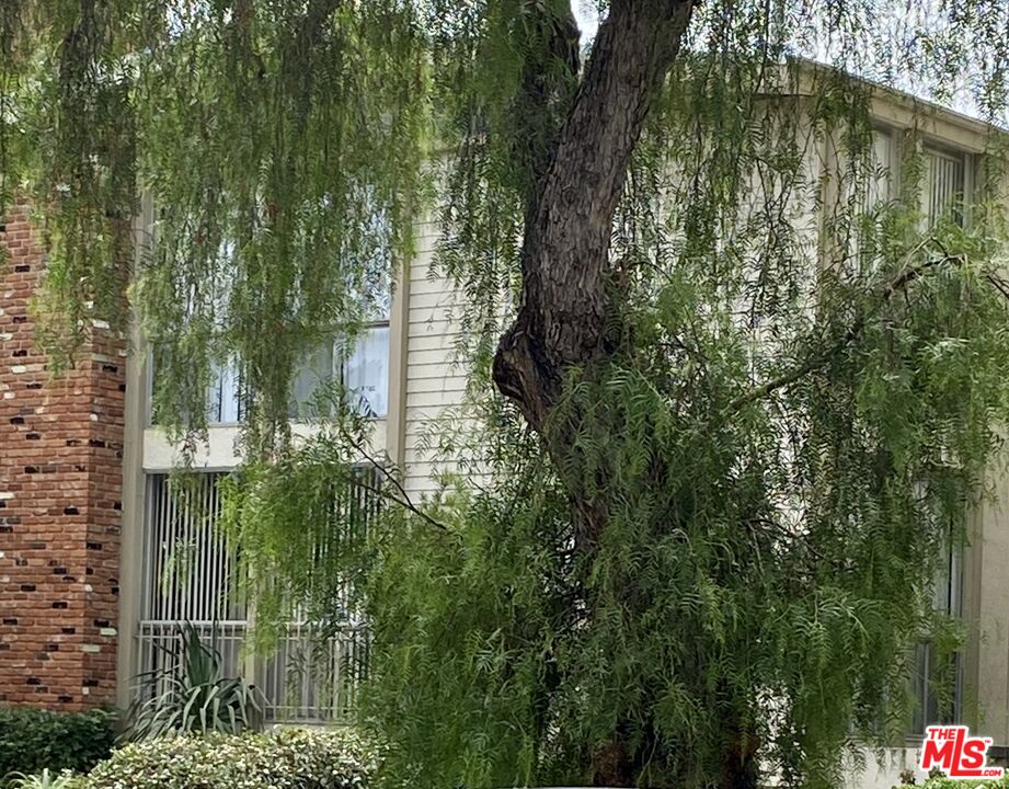 1138 11TH ST Unit: 6