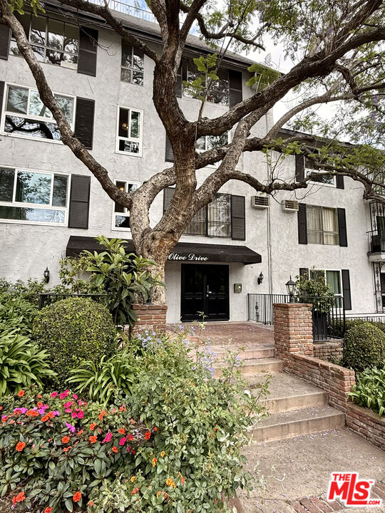 Residential building entrance with concrete steps, flowering gardens, and a large tree.