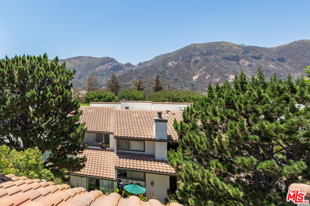 1674 Palisades Drive