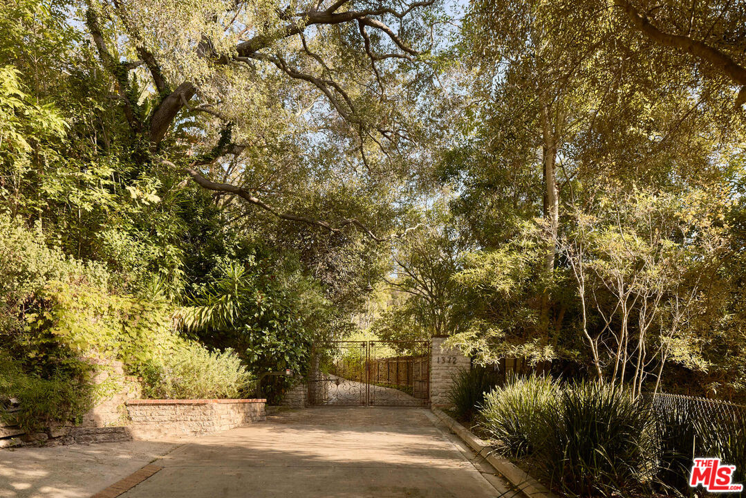 1372 Benedict Canyon Dr
